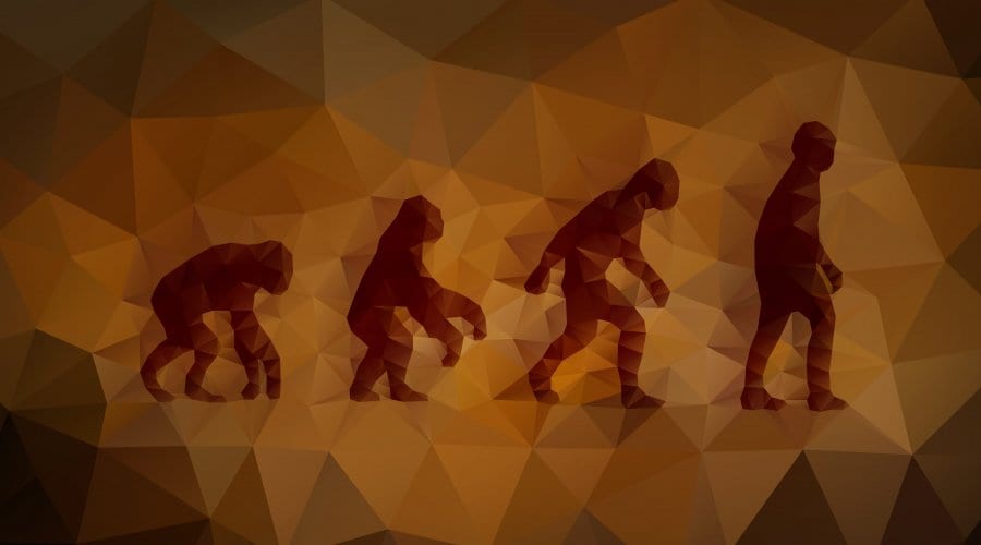Evolution
