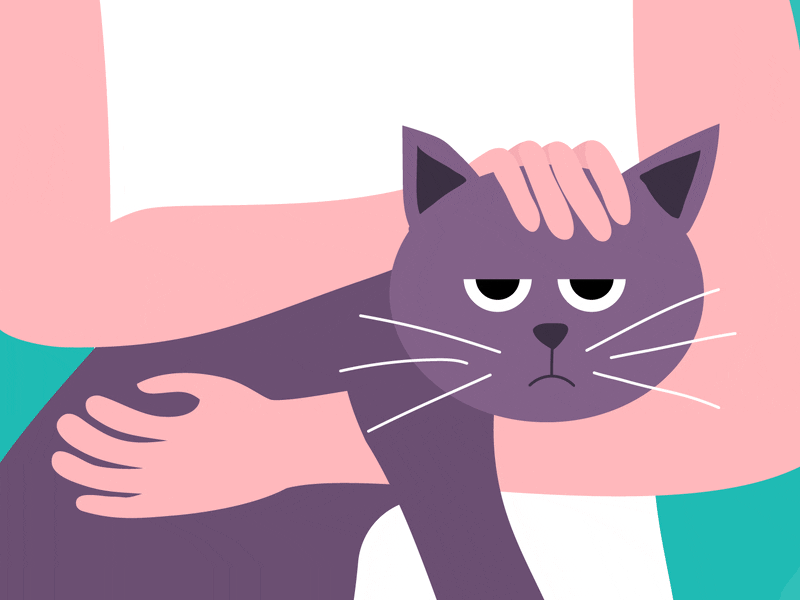 Stroking a cat